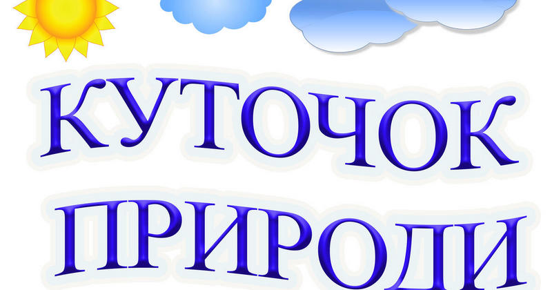 Огляд групових осередків для реалізації завдань БКДО з освітнього напряму «Дитина в природному довкіллі»